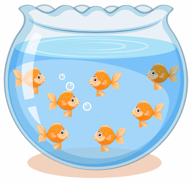 Fish tank